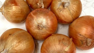 무안양파 10kg, 이 가격 실화냐?! 🧅 내돈내산 후기와 꿀팁 대방출!