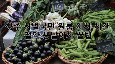 상주 사벌국면 원룸 이사, 시간 절약 용달이사 꿀팁!